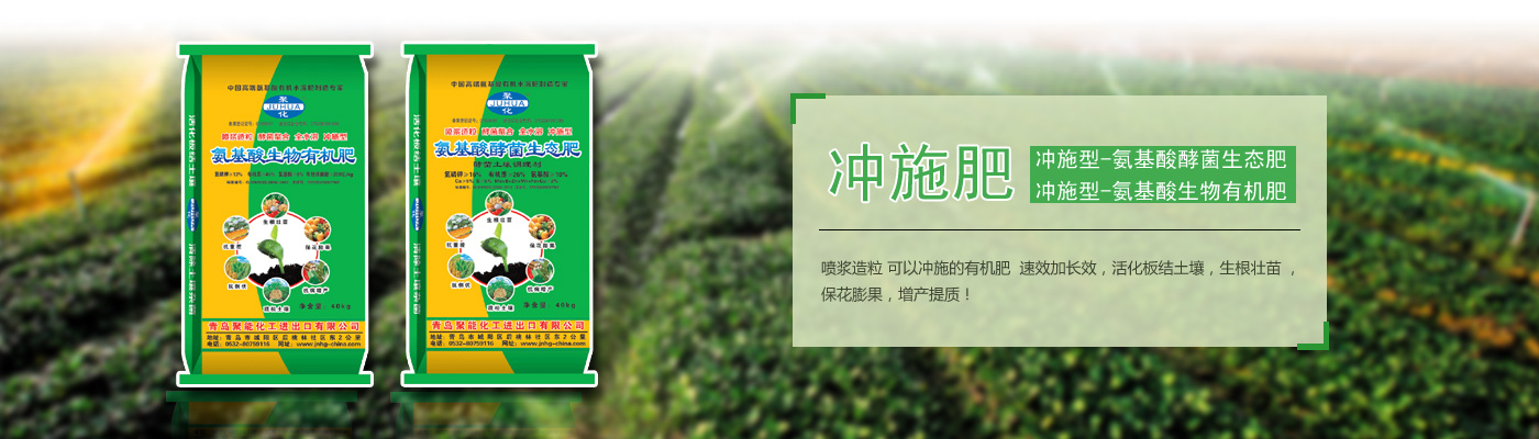 �ʼڵ۹�����Ƽ�