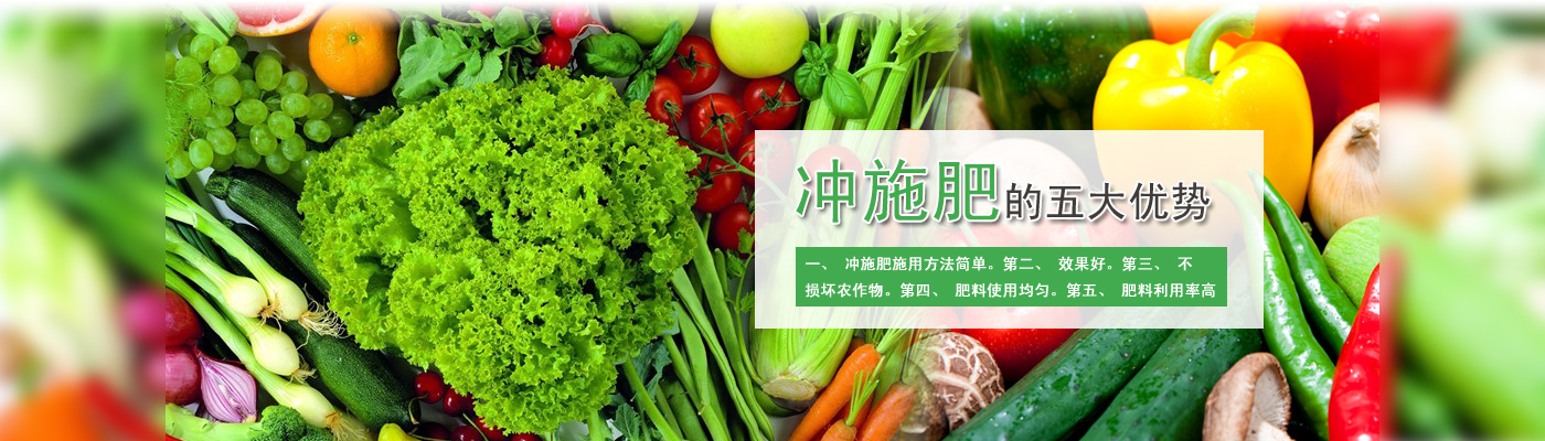 �ʼڵ۹�����Ƽ�