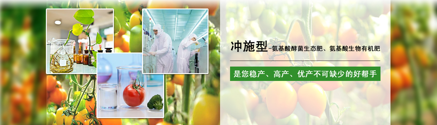 �ʼڵ۹�����Ƽ�